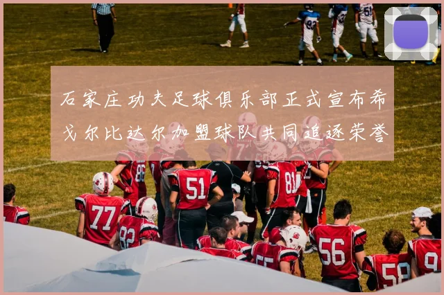 石家庄功夫足球俱乐部正式宣布希戈尔比达尔加盟球队共同追逐荣誉