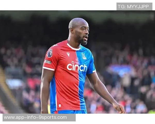 前水晶宫老板遭9700万美元索赔多家俱乐部集团陷入财务危机